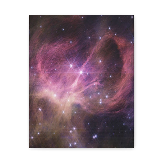 Star Cluster IC 348 Canvas Wall Art